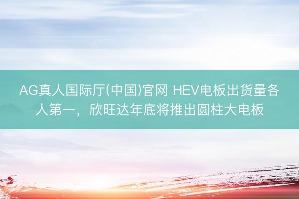 AG真人国际厅(中国)官网 HEV电板出货量各人第一，欣旺达年底将推出圆柱大电板