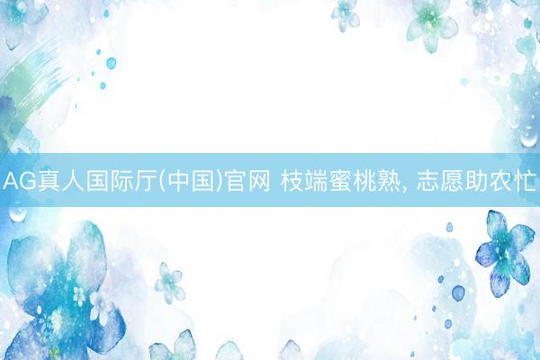 AG真人国际厅(中国)官网 枝端蜜桃熟， 志愿助农忙