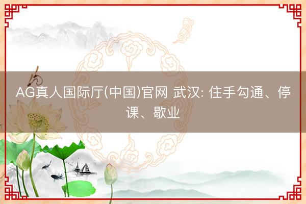 AG真人国际厅(中国)官网 武汉: 住手勾通、停课、歇业