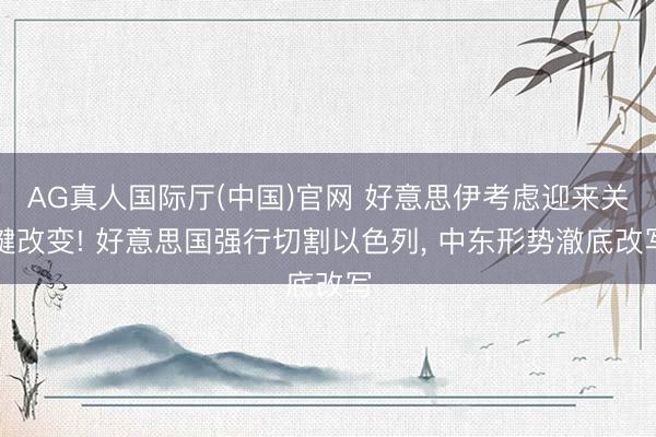 AG真人国际厅(中国)官网 好意思伊考虑迎来关键改变! 好意思国强行切割以色列， 中东形势澈底改写