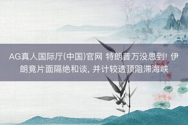 AG真人国际厅(中国)官网 特朗普万没思到! 伊朗竟片面隔绝和谈， 并计较透顶阻滞海峡