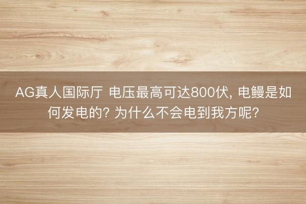 AG真人国际厅 电压最高可达800伏， 电鳗是如何发电的? 为什么不会电到我方呢?