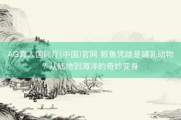 AG真人国际厅(中国)官网 鲸鱼凭啥是哺乳动物? 从陆地到海洋的奇妙变身