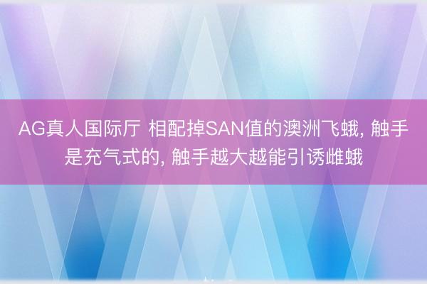 AG真人国际厅 相配掉SAN值的澳洲飞蛾， 触手是充气式的， 触手越大越能引诱雌蛾
