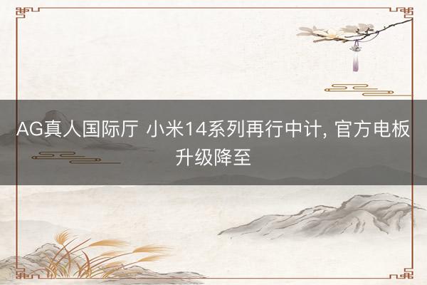 AG真人国际厅 小米14系列再行中计， 官方电板升级降至