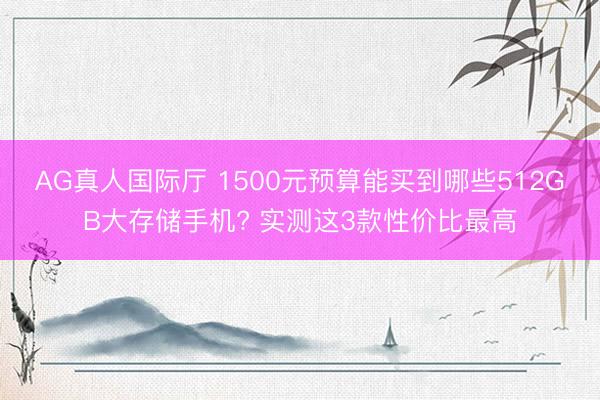 AG真人国际厅 1500元预算能买到哪些512GB大存储手机? 实测这3款性价比最高