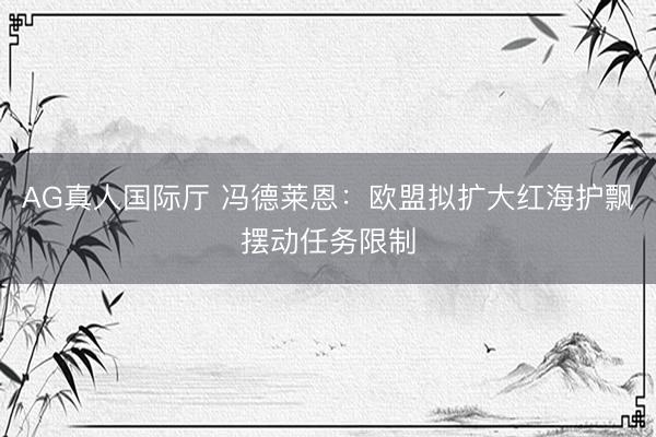 AG真人国际厅 冯德莱恩：欧盟拟扩大红海护飘摆动任务限制